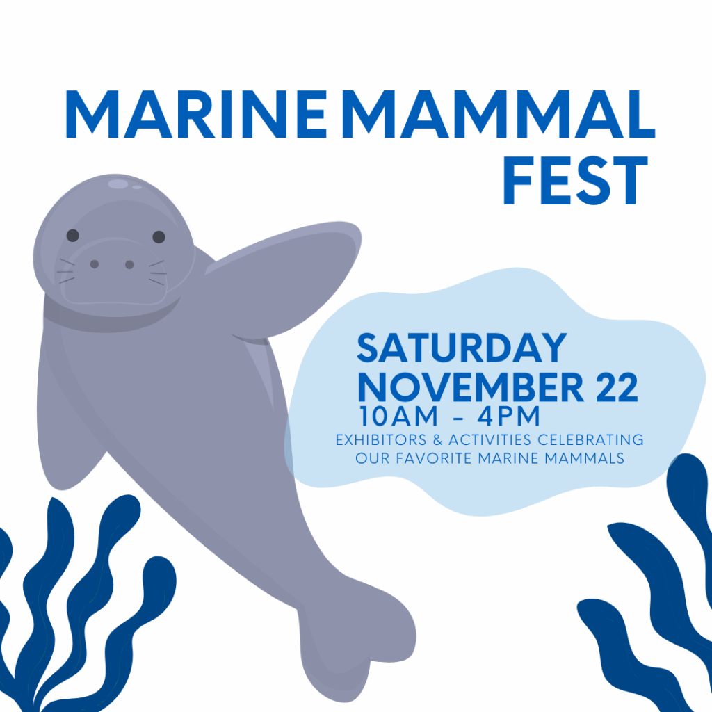 Marine Mammal Festival 2025