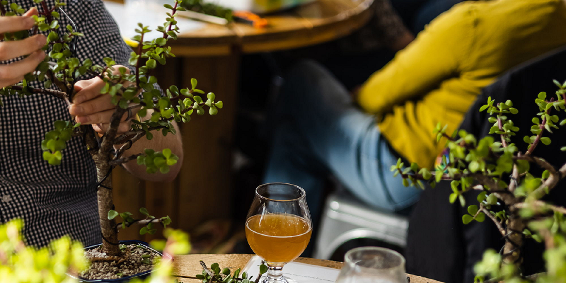 Close-up of people working on bonsai trees at a table, with a glass of beer and a person in a yellow sweater in the background.