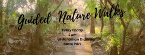 Promotional banner for guided nature walks every Friday at 2 pm in Jonathan Dickinson State Park, with sunlight shining through a forest trail.
