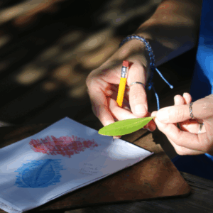 A person holds a green leaf and pencil above a notebook, showing leaf rubbings and sketches on the page.