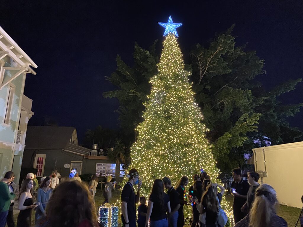 Taste of Jensen tree lighting