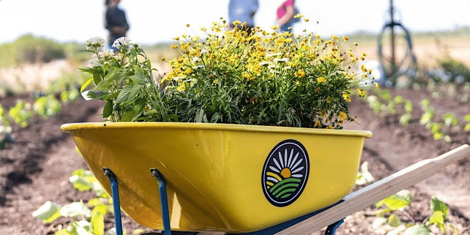Yellow wheelbarrow with flowers and a sun-daisy logo, sitting in a garden with green plants and blurred people in the background.