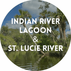 Circular photo of palm trees and waterway with the words “INDIAN RIVER LAGOON & ST. LUCIE RIVER” overlayed.