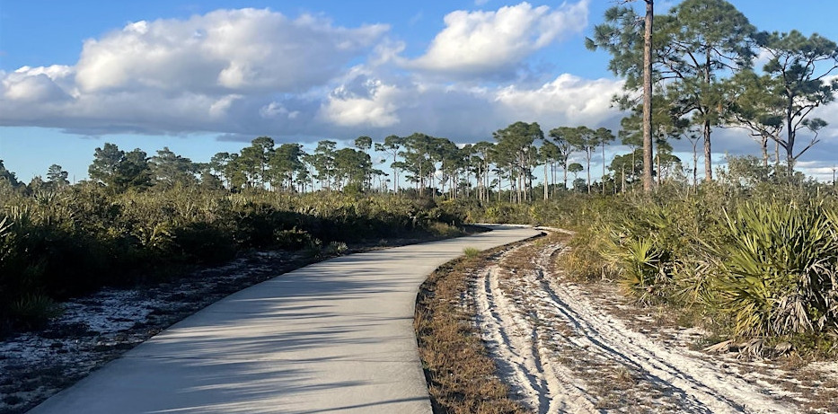 Step Into Nature: Morning Greenway Walk