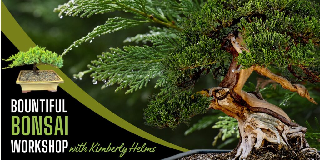 Bonsai Workshop event image