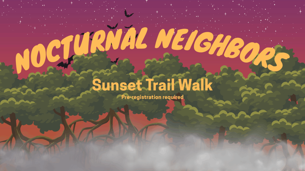 Nocturnal Neighbors Sunset Trail Walk