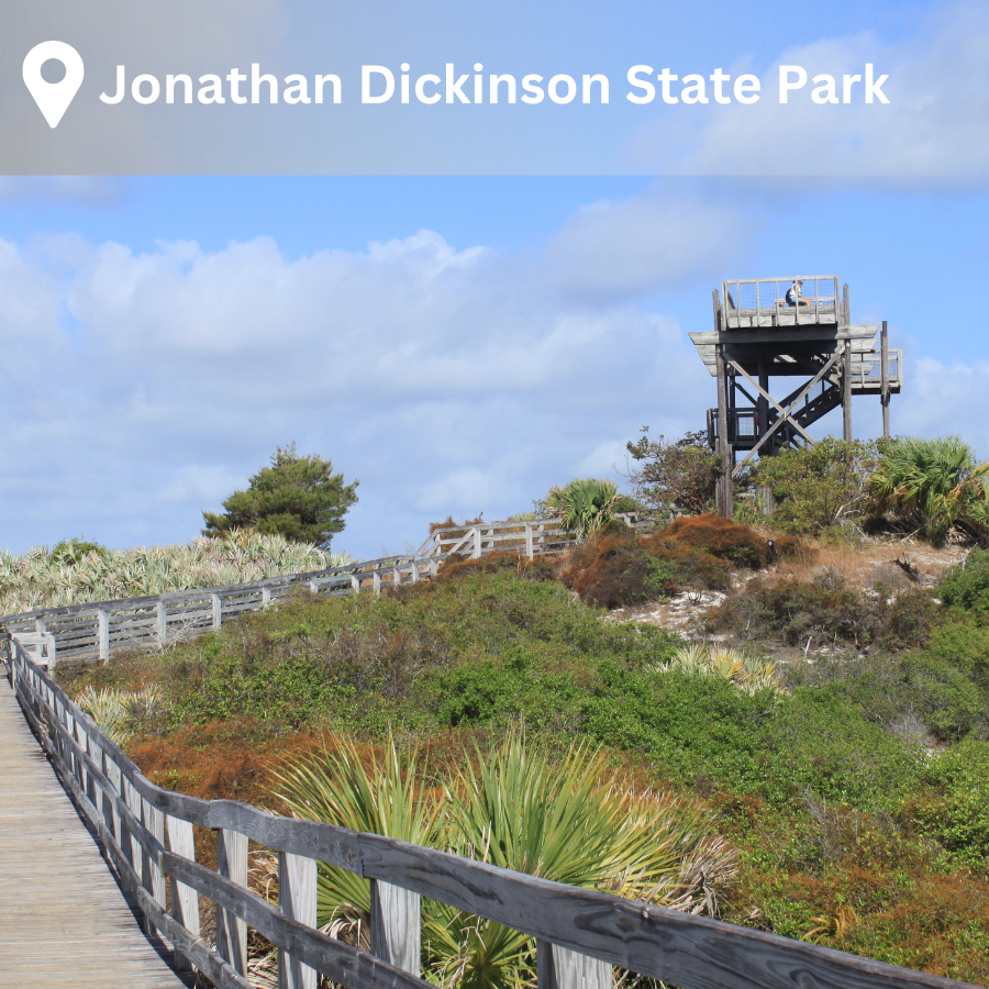 a board walk up to a wooden tower overlook