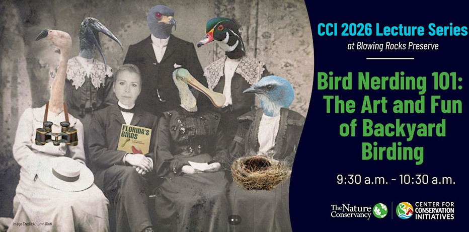 Bird Nerding 101: The Art and Fun of Backyard Birding event image