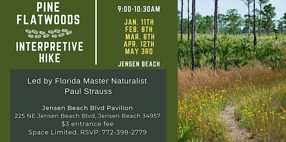 Pine flatwoods guided hike
