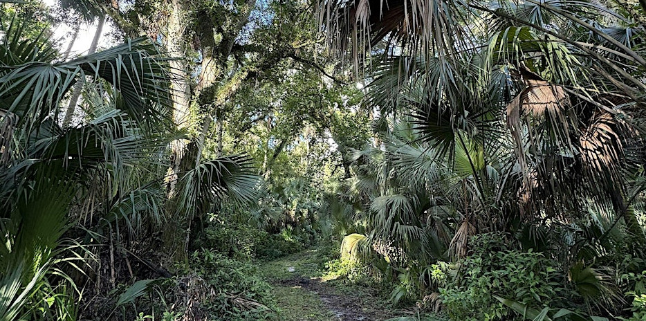 Tropical Forest Nature Hike event image