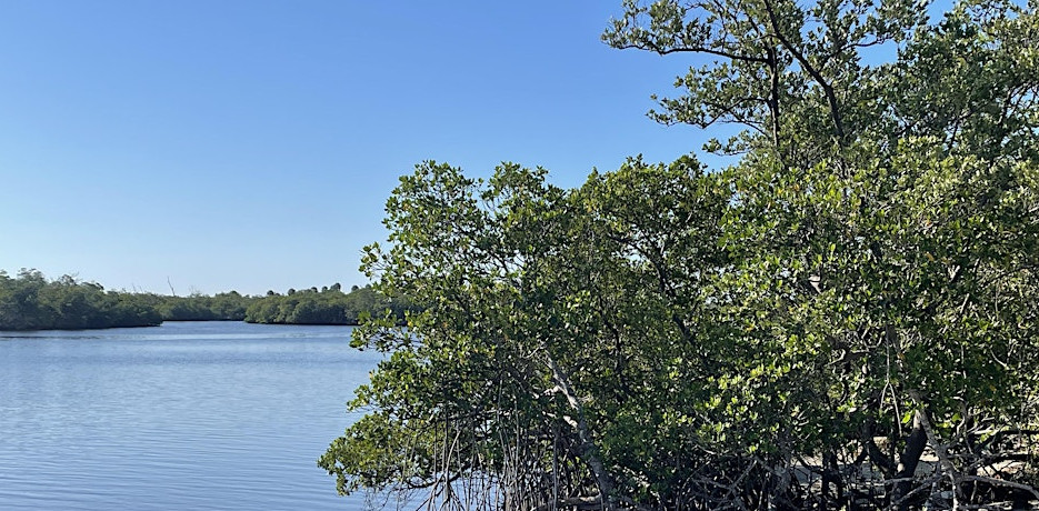 Shores with a Story: Historical Nature Walk event image