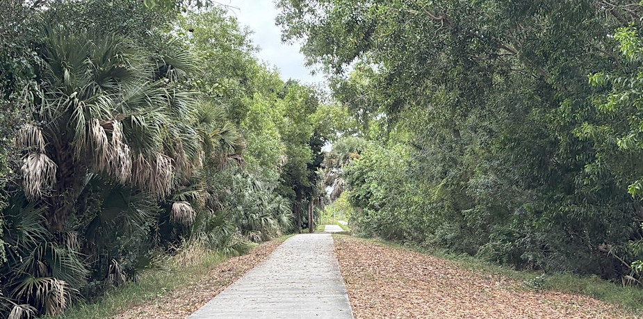 Evening Greenway Walk event image