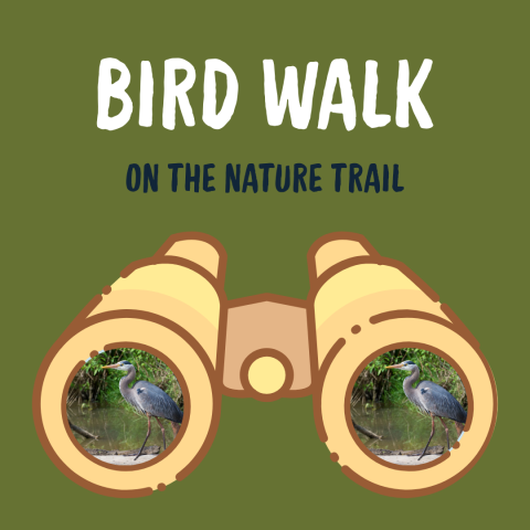 Guided Bird Walk