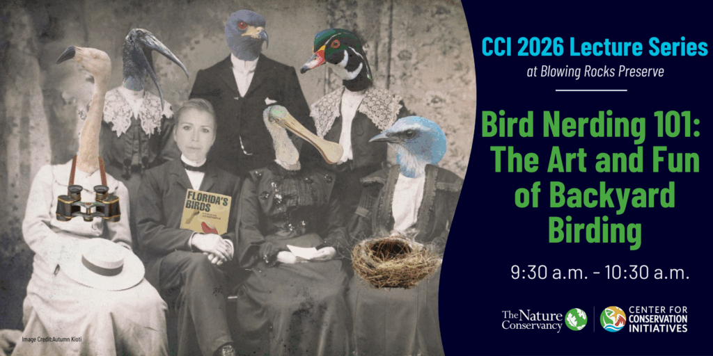CCI 2026 Lecture Series: Bird Nerding 101: The Art and Fun of Backyard Birding event image