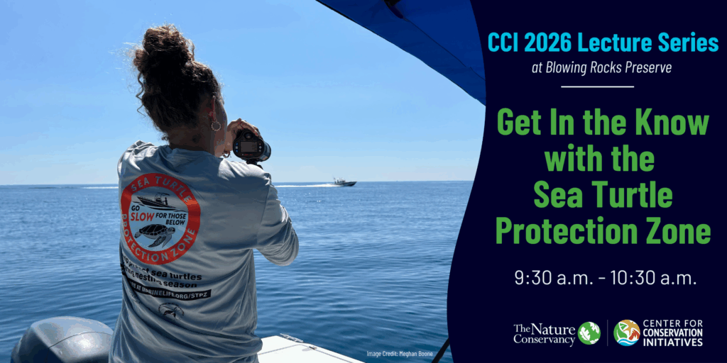 CCI 2026 Lecture Series: Get In the Know with the Sea Turtle Protection Zone event image