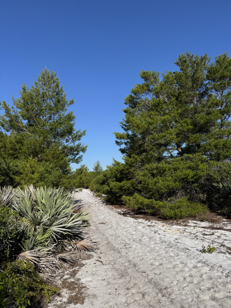 Historical Nature Walk event image