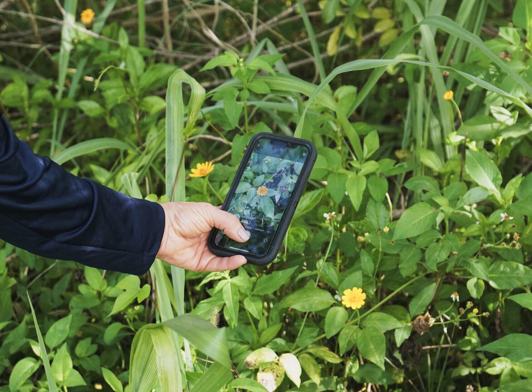 Featured Event: City Nature Challenge