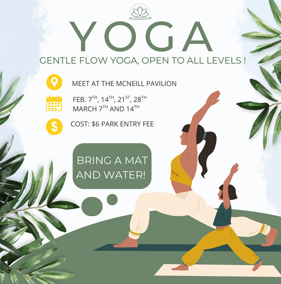 Morning Yoga at Jonathan Dickinson State Park event image