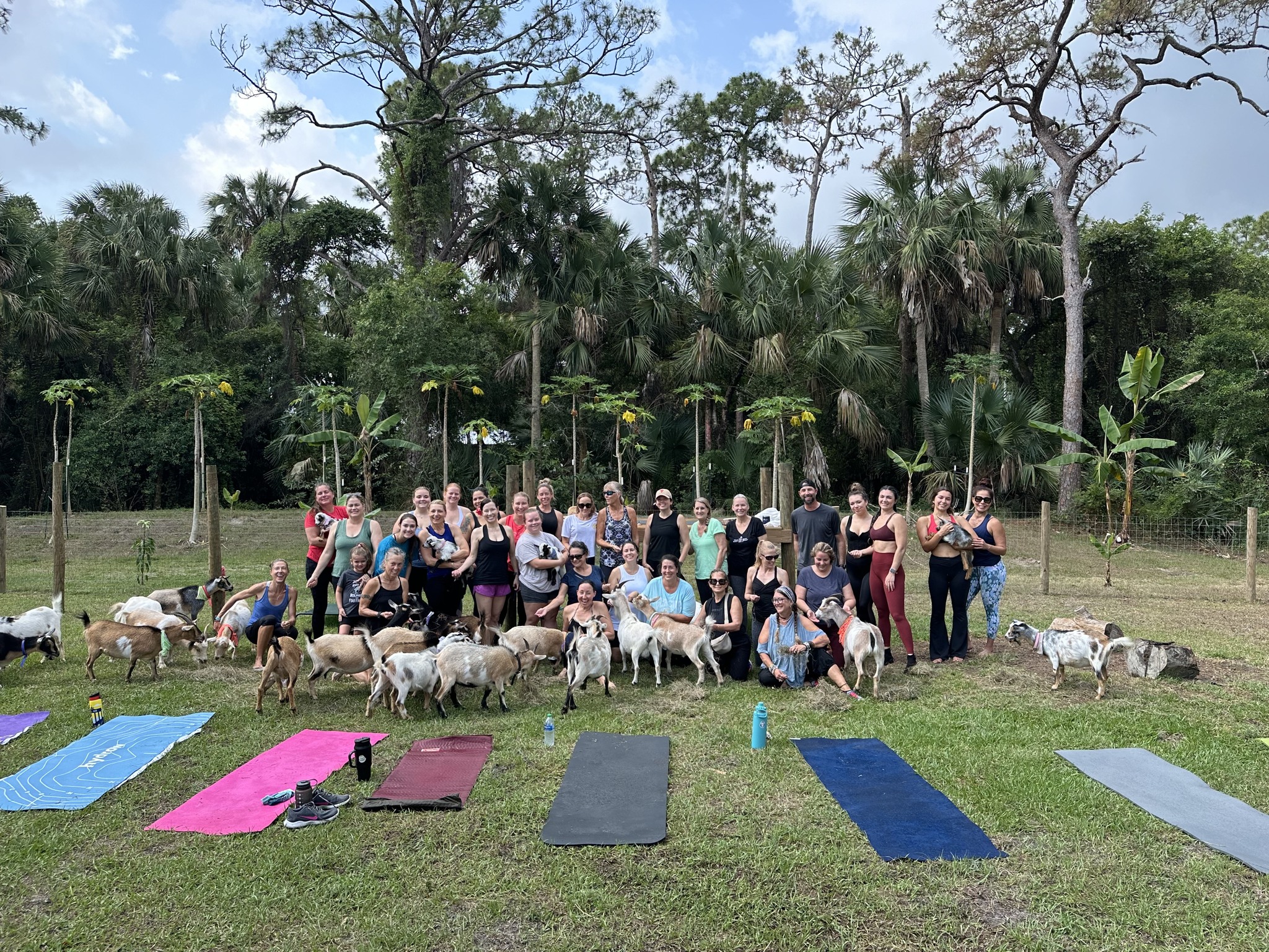 Group of people going goat yoga on the farm