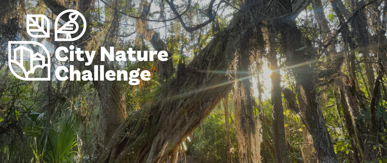 City Nature Challenge Martin County banner