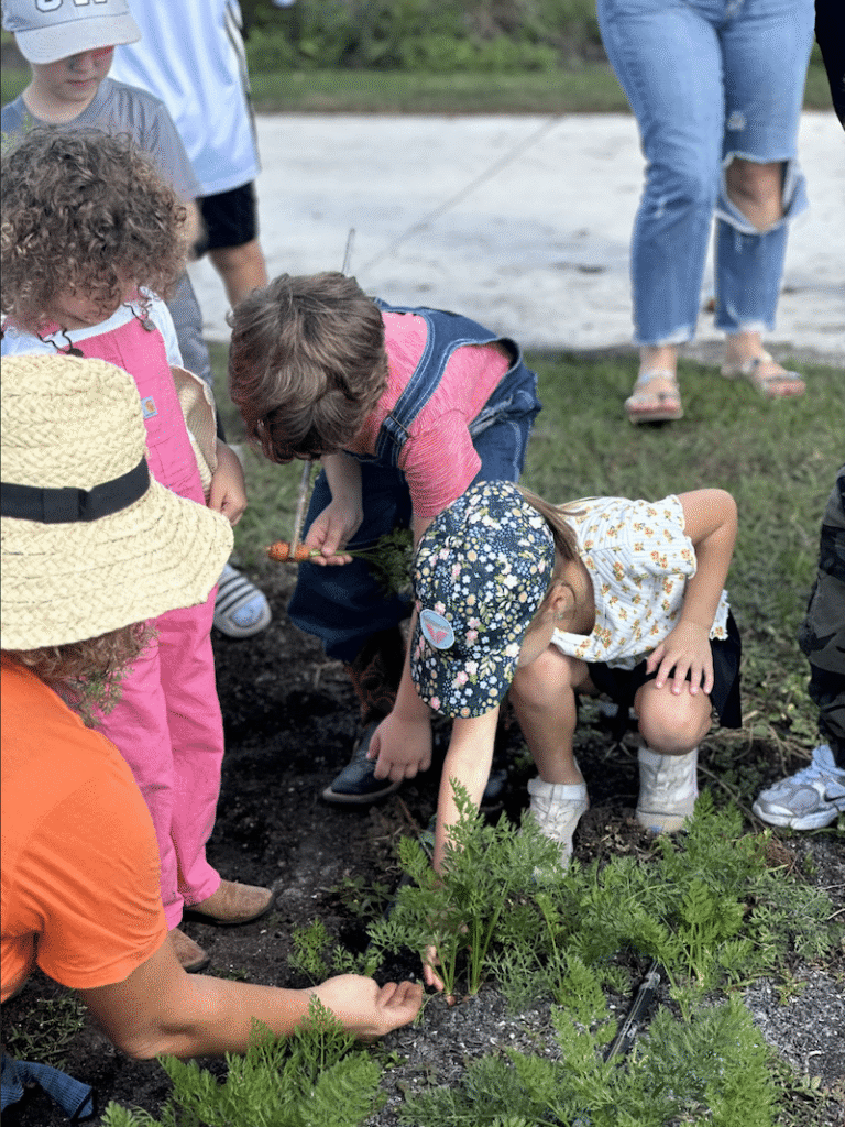 Kids Farm Class event image