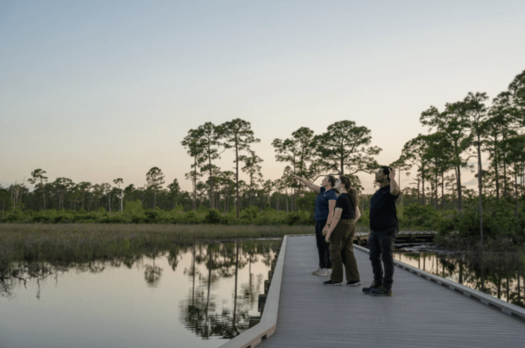 World Wildlife Day Celebration: Full Moon Hike