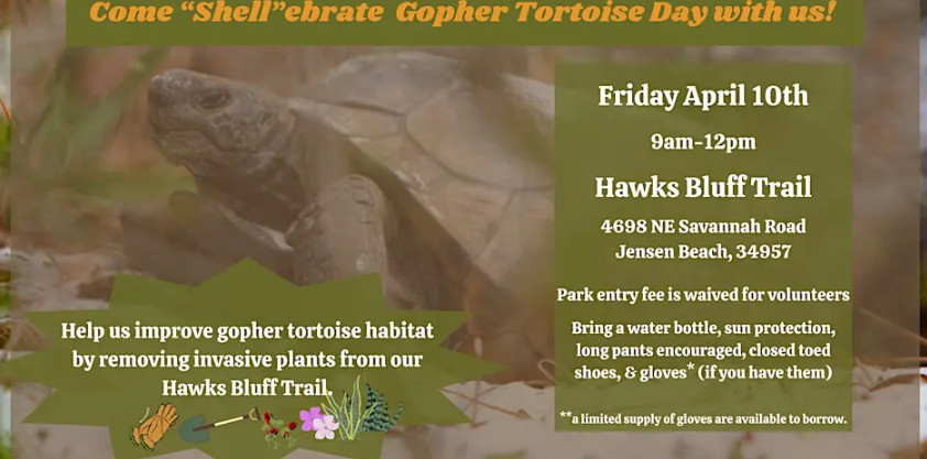 Gopher Tortoise Habitat Restoration event image
