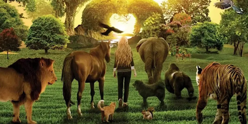 Voices from the edge of your bed…and barn event image