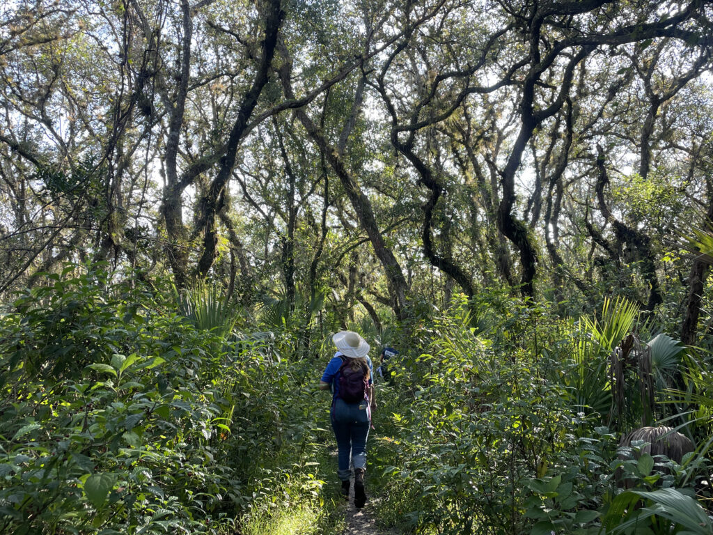 Under the Oaks: Scenic Nature Hike event image