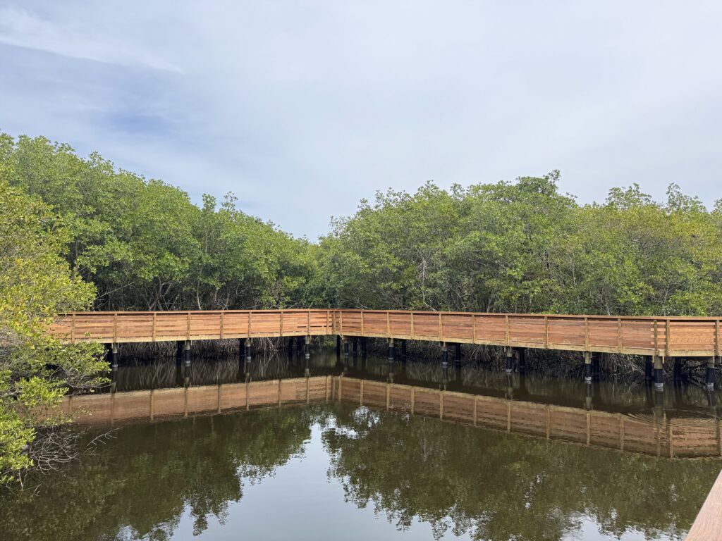 Pathways to the Past: Indigenous History Walk event image