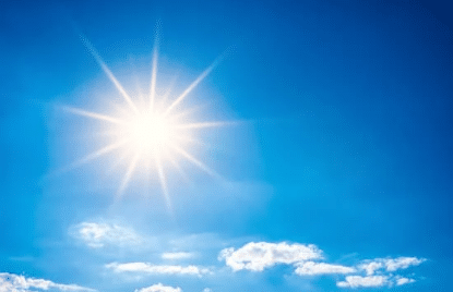 Simply Rooted: Preparing for the Heat event image