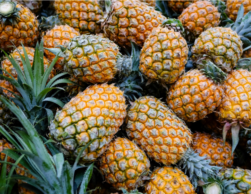 Rise and Fall of the Florida Pineapple Industry event image