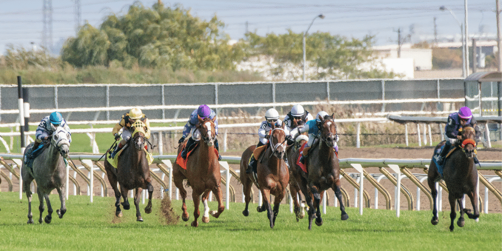 Derby Day at the Farm event image