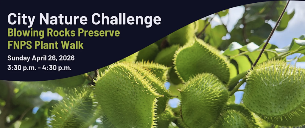 City Nature Challenge – Plant Walk event image