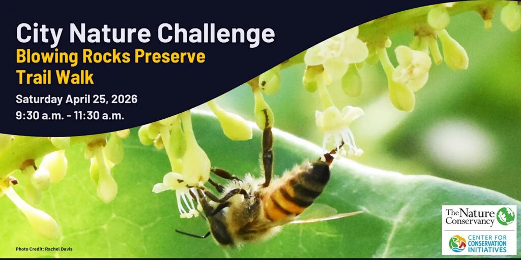 City Nature Challenge Trail Walk event image