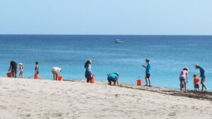 ocean cleanup