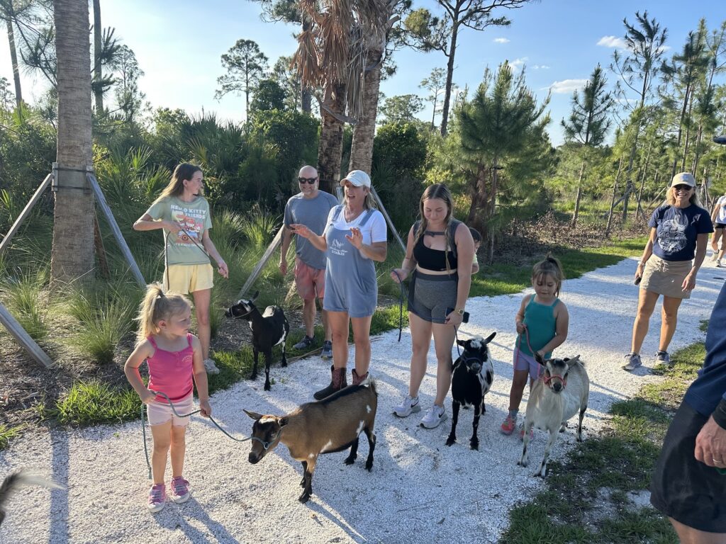 Hike with Goats event image