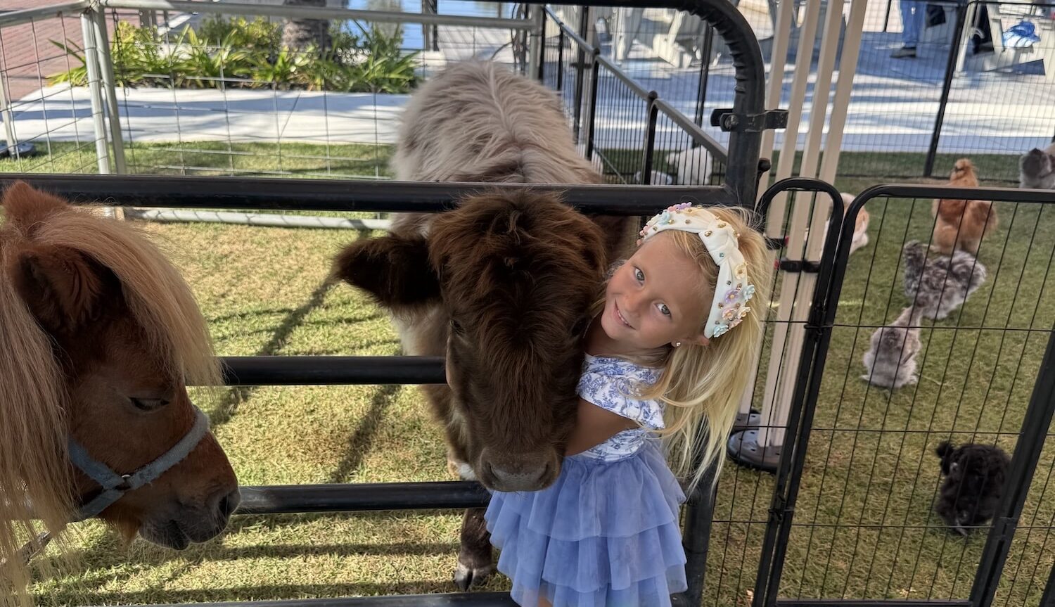 petting zoo