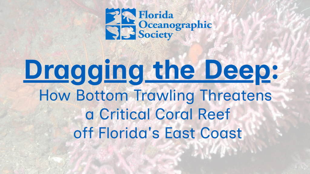 Dragging the Deep event image