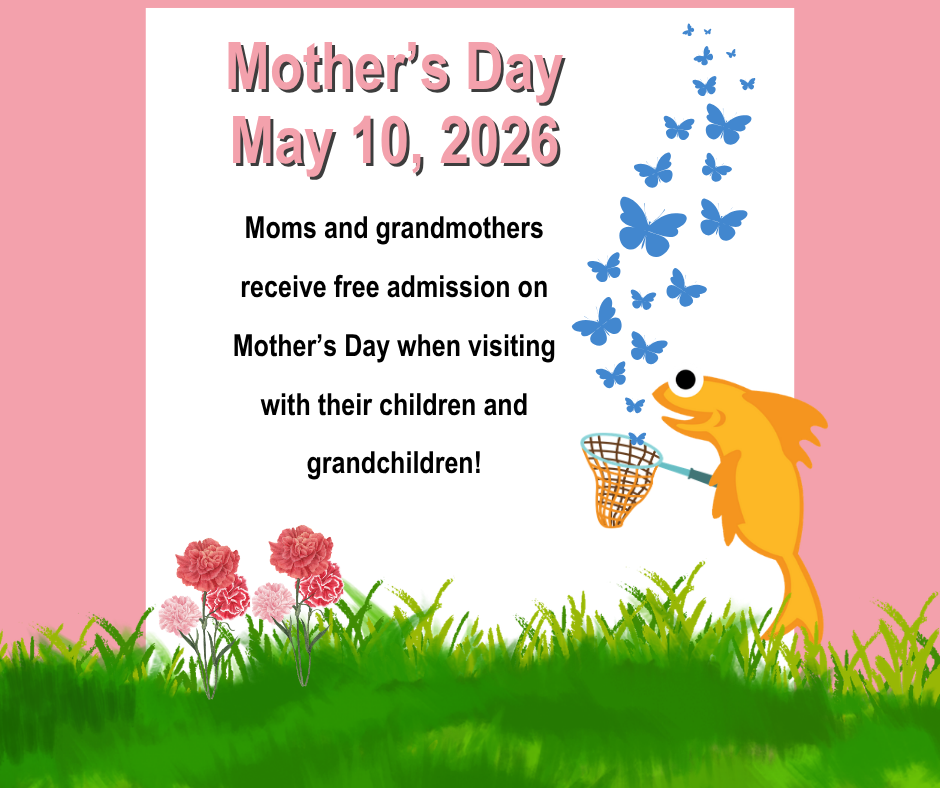 Mother’s Day at The Children’s Museum of the Treasure Coast event image