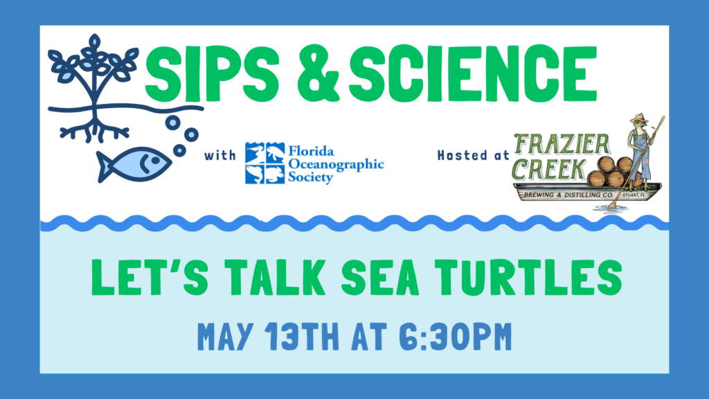 Sips & Science: Let’s Talk Sea Turtles! event image