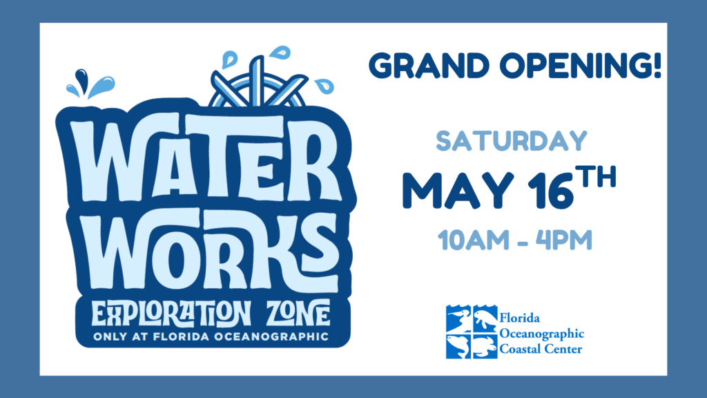 Waterworks Exploration Zone Grand Opening at Florida Oceanographic event image