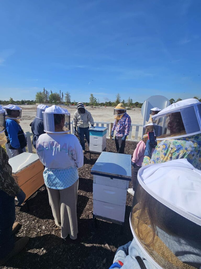 Farm Class: The Summer Hive event image