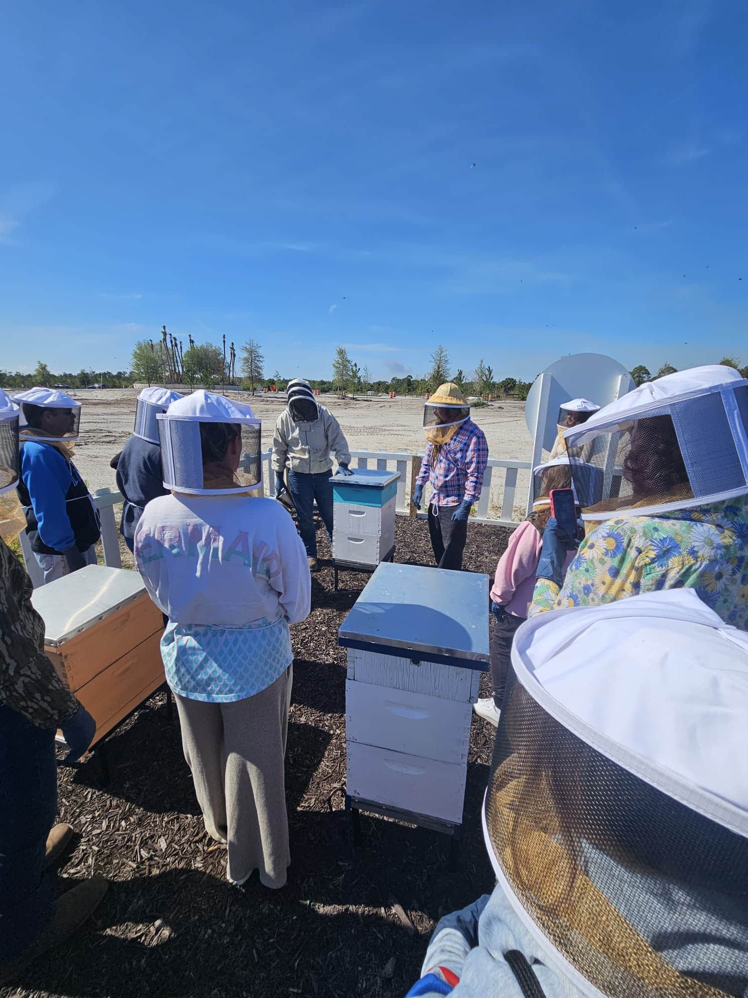 bee hive tour