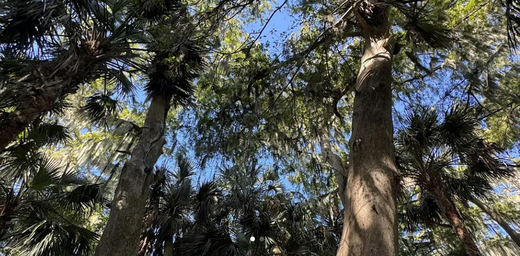 Lake Okeechobee Ridge Trail