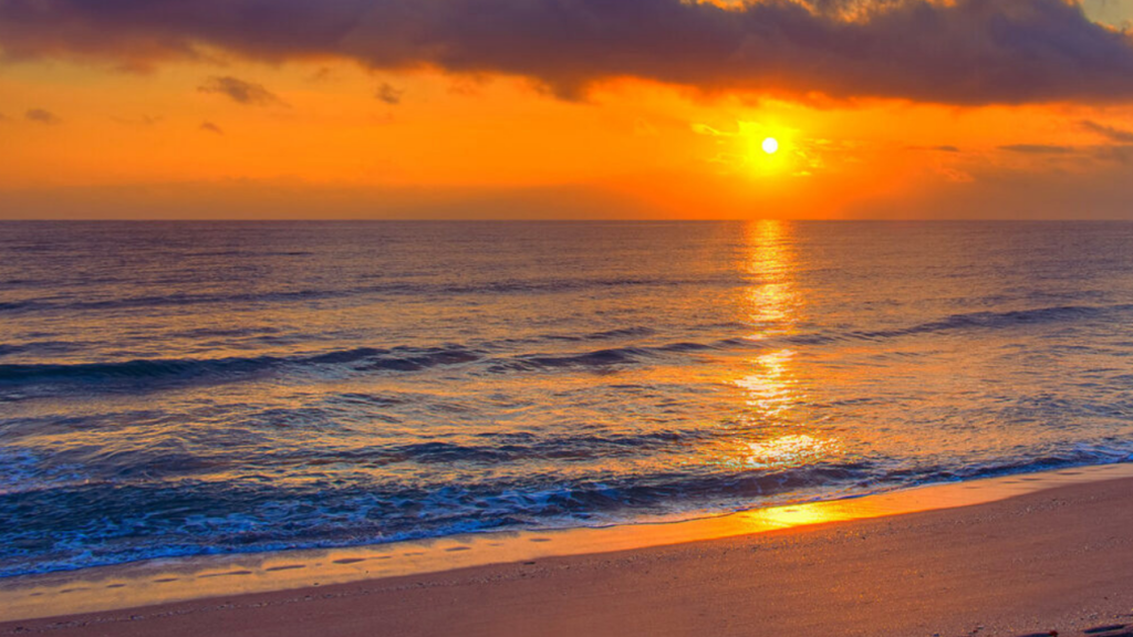 AI Sized - Hobe Sound Beach