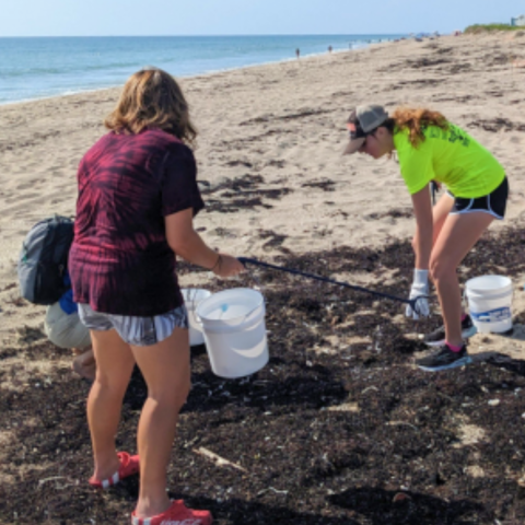 Beach Cleanup Event