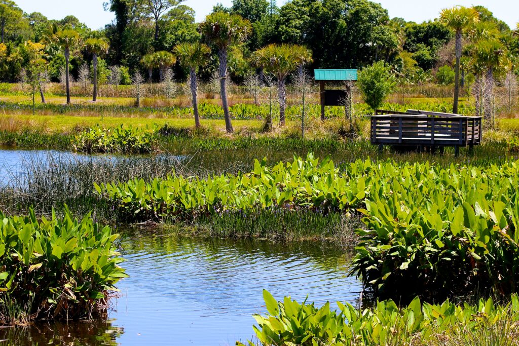 Water Ambassador Program Field Trip event image
