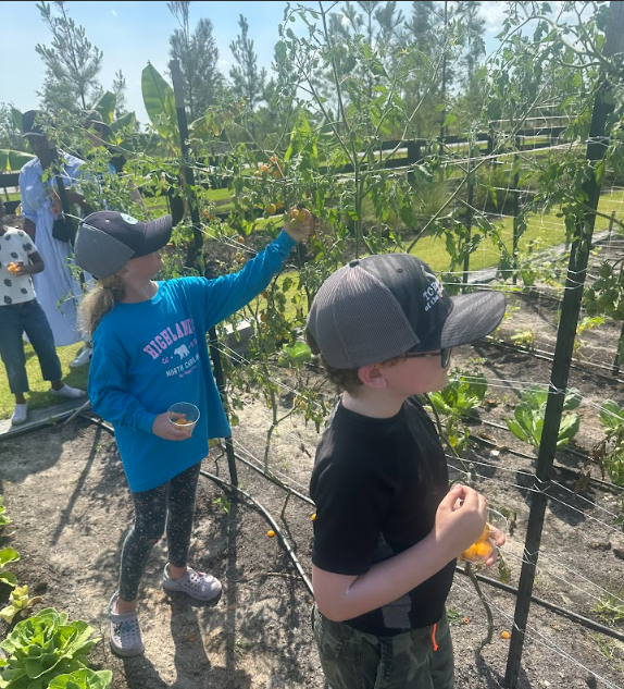 Kids Farm Class