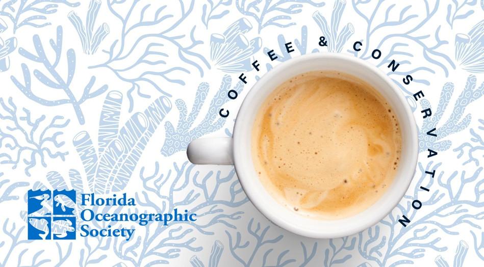 coffee and conservation